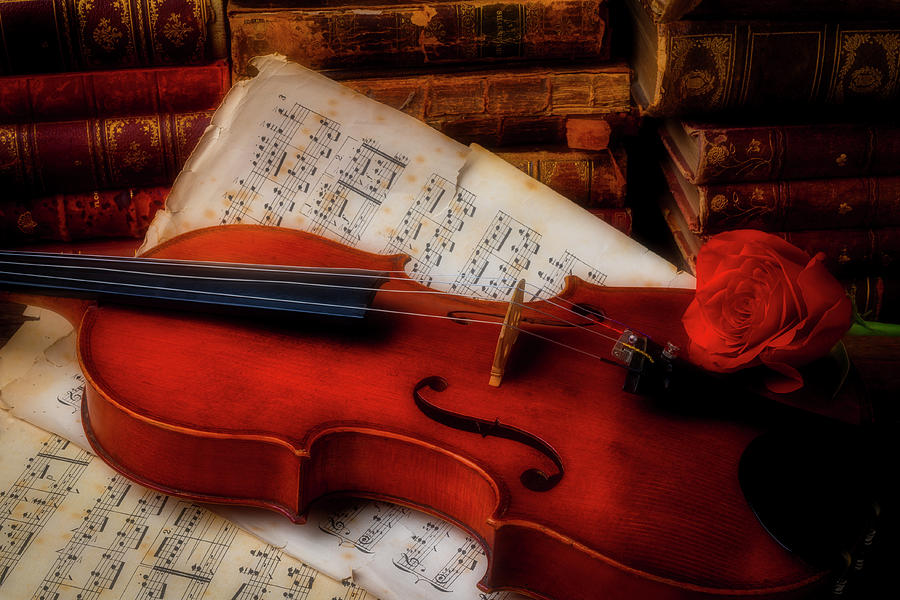 Red Rose And Violin With Sheet Music Photograph by Garry Gay