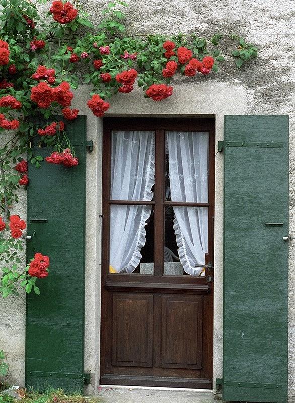 Red Rose Door Photograph by Susie Rieple