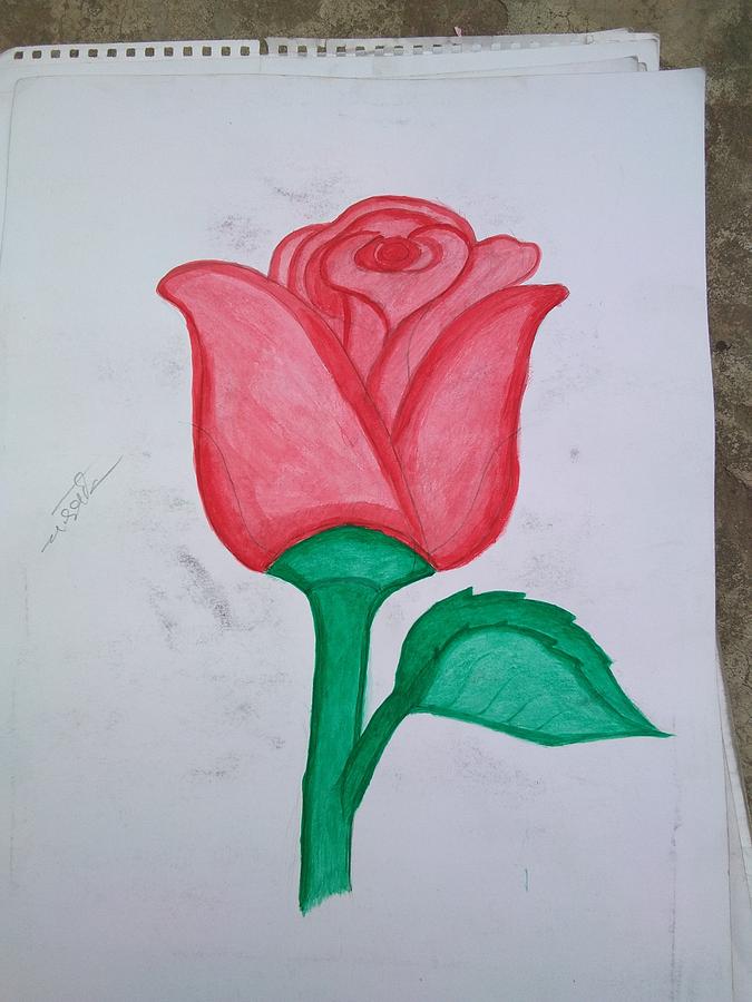 Red Rose Flower Hand Drawn Floral Vector Illustration Pen Or Marker Sketch  Hand Drawn Design Print Natural Pencil Drawing Stock Illustration   Download Image Now  iStock