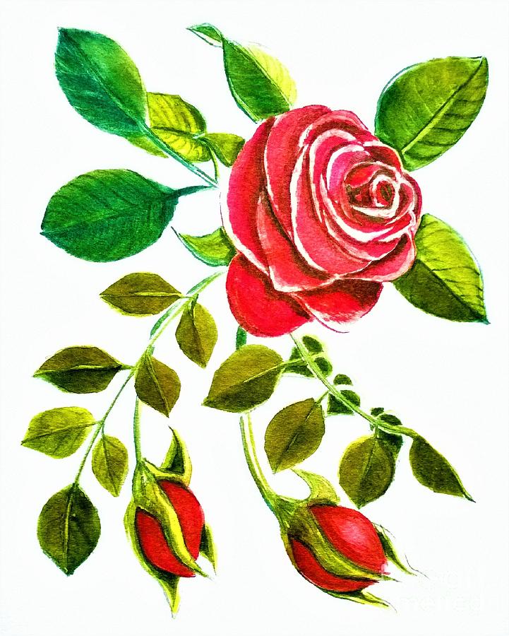 Red Rose Watercolor by Delynn Addams for Home Decor Painting by Delynn Addams