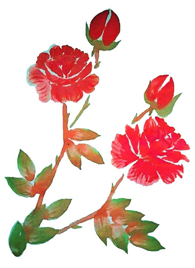 Red Rose Watercolor Transparent Background  Painting by Delynn Addams