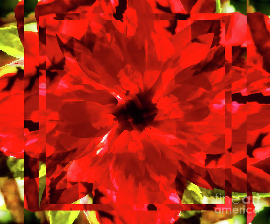 Red Rose Abstract Digital Art by D Hackett