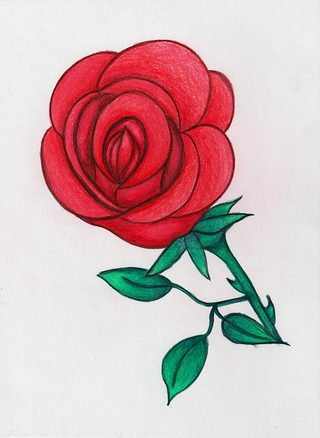 Red Roses are Your Friend Drawing by Lori Hammond