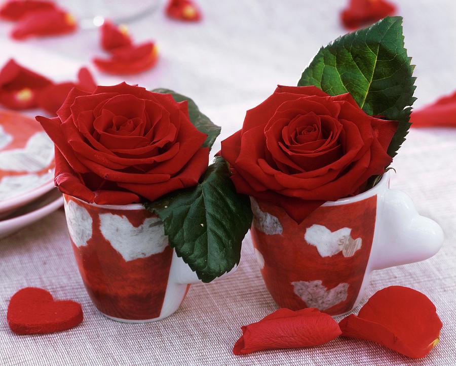 Red Roses In Two Espresso Cups With Heart Design Photograph by Friedrich Strauss