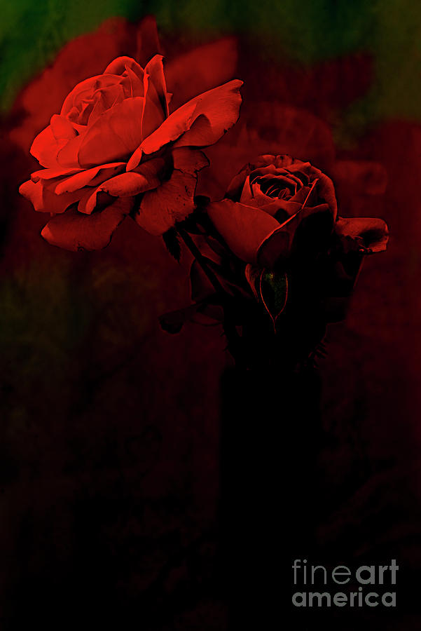 Rose Photograph - Red Roses In Vase. by Alexander Vinogradov