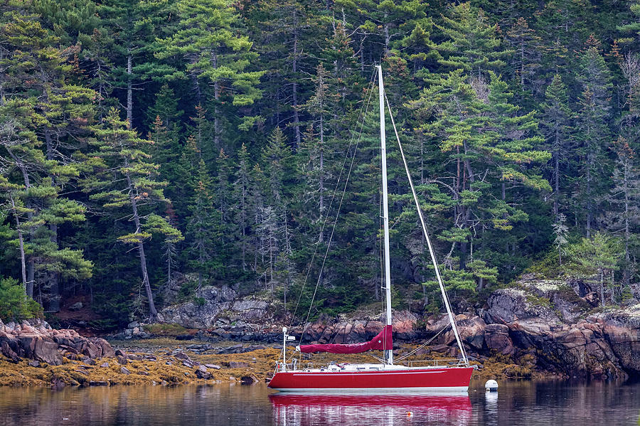 Red Sail Boat Photograph by Paul Freidlund