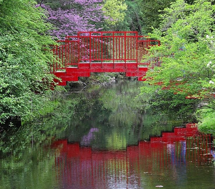 Red Scenic Garden Bridge Photograph by Tina M Daniels   Whiskey Birch Studios