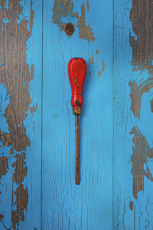 Red Screwdriver Vertical Photograph by David Smith