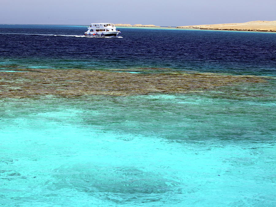 Red sea Photograph by Alex Nikitsin - Fine Art America