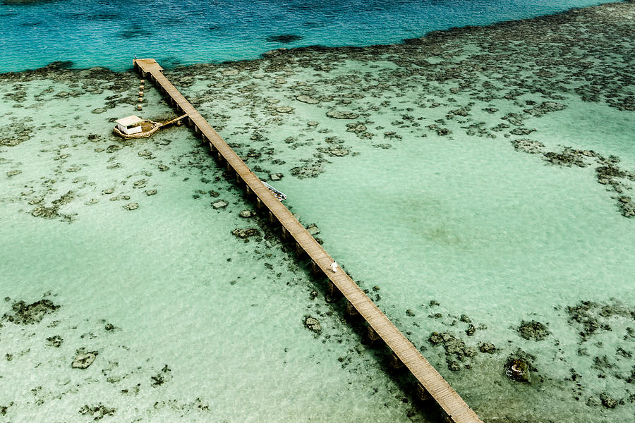 Red Sea Photograph by Federica Truc - Fine Art America