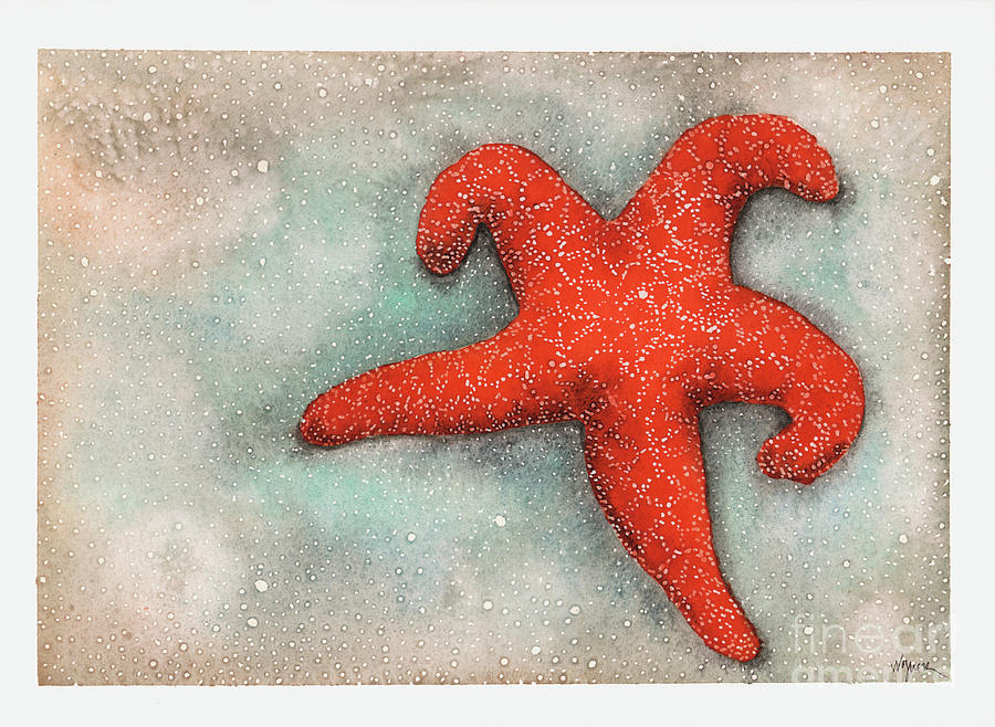 Red Sea Star Painting by Hilda Wagner