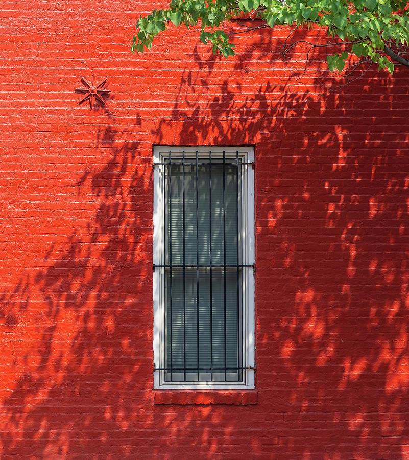 Red Shadow Photograph by Liz Albro