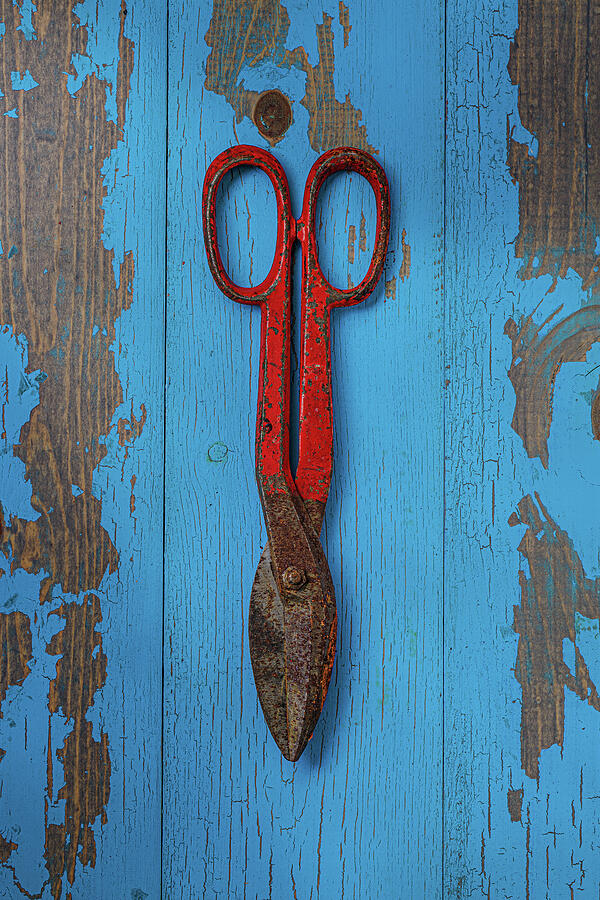 Red Shears Vertical Photograph by David Smith