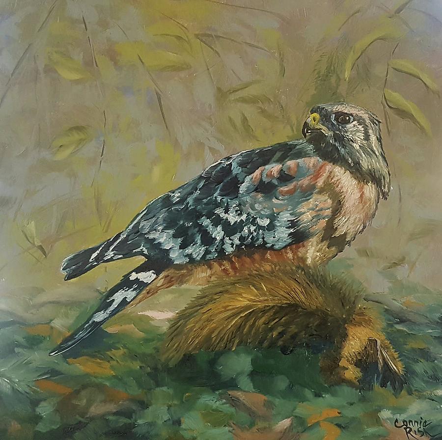Red Shoulder Hawk Painting by Connie Rish