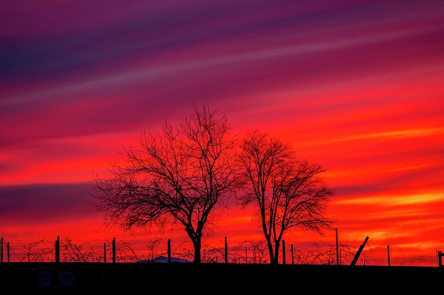 Red Silhouette Sunset Photograph by Lynn Hopwood