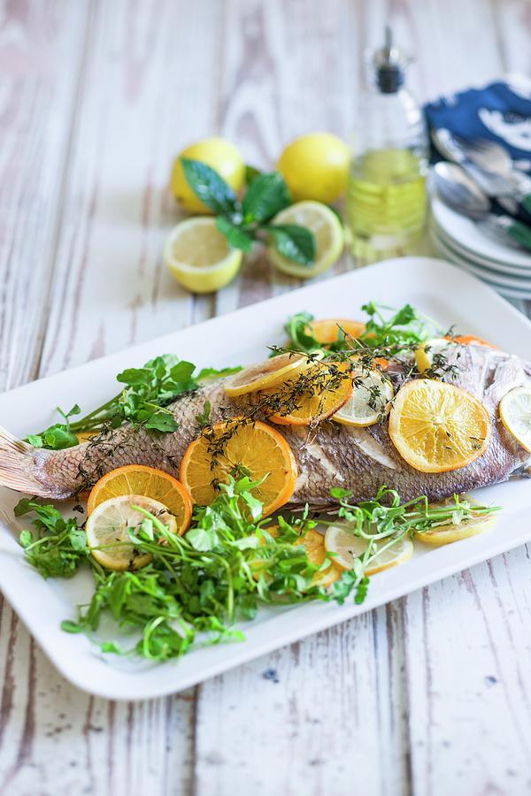 Red Snapper With Lemons, Oranges And Fresh Herbs Photograph by Andrew ...