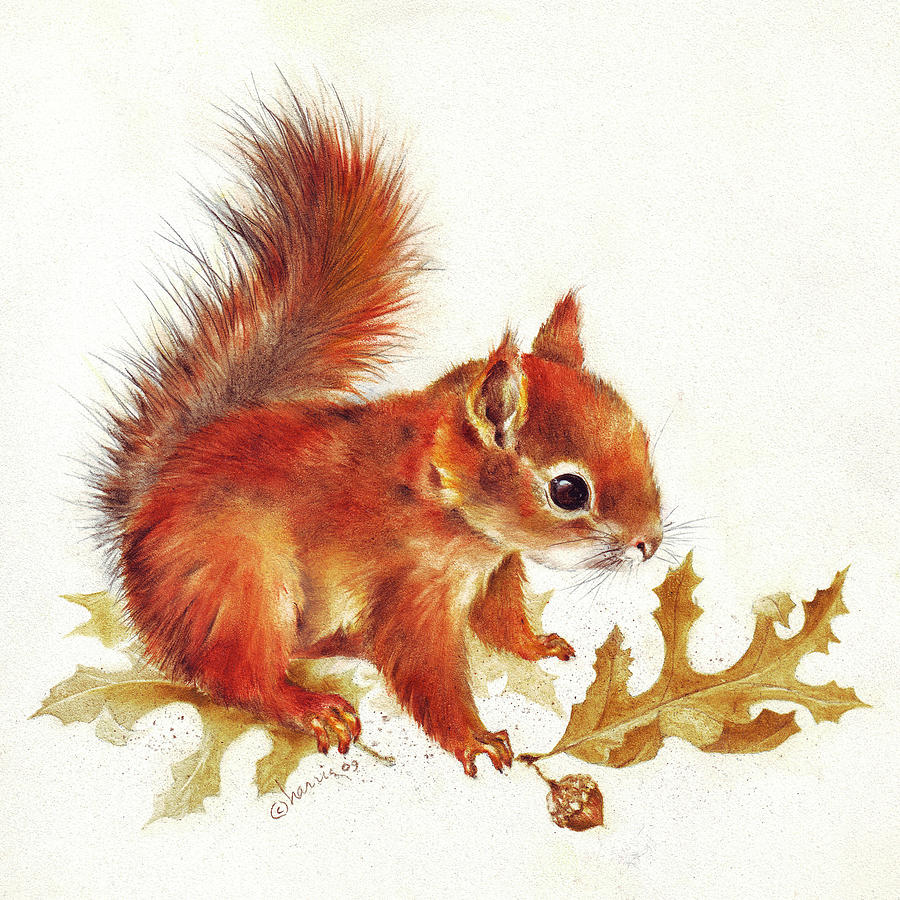 Squirrel Painting - Red Squirrel by Peggy Harris