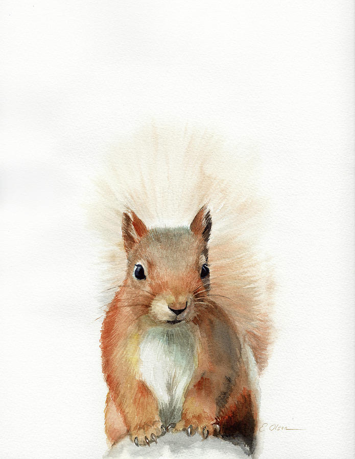 Red Squirrel Portrait Painting by Emily Olson - Fine Art America