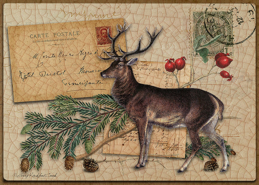 Red Stag and Berries Digital Art by Terry Kirkland Cook