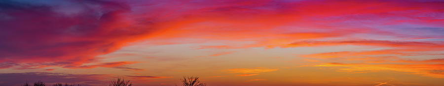 Red Sunset Photograph by Vivida Photo PC