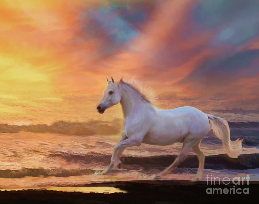 White Stallion Digital Art - Red Sunset by Melinda Hughes-Berland