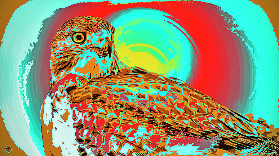 Unique Photograph - Red Tail by Andrew Zydell Unique Photograph - Red Tail by Andrew Zydell