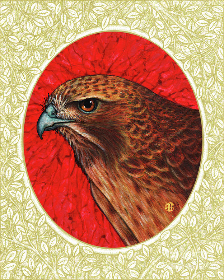 Red Tailed Hawk Portrait - Cream Border Painting by Amy E Fraser