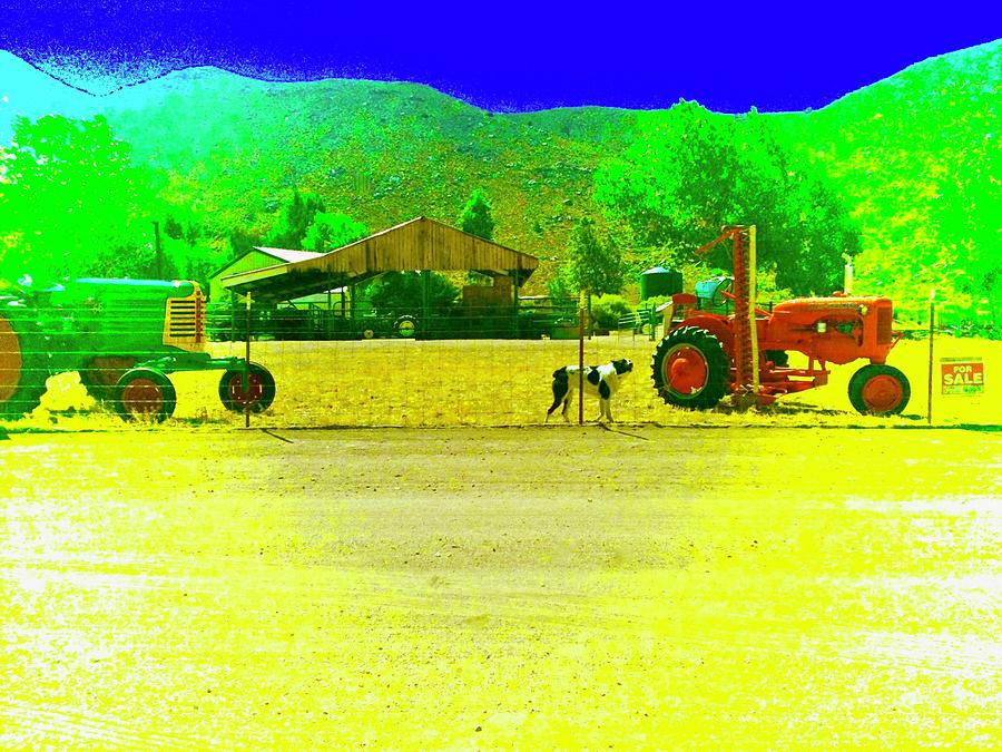 Red Tractor for Sale Photograph by Debra Grace Addison
