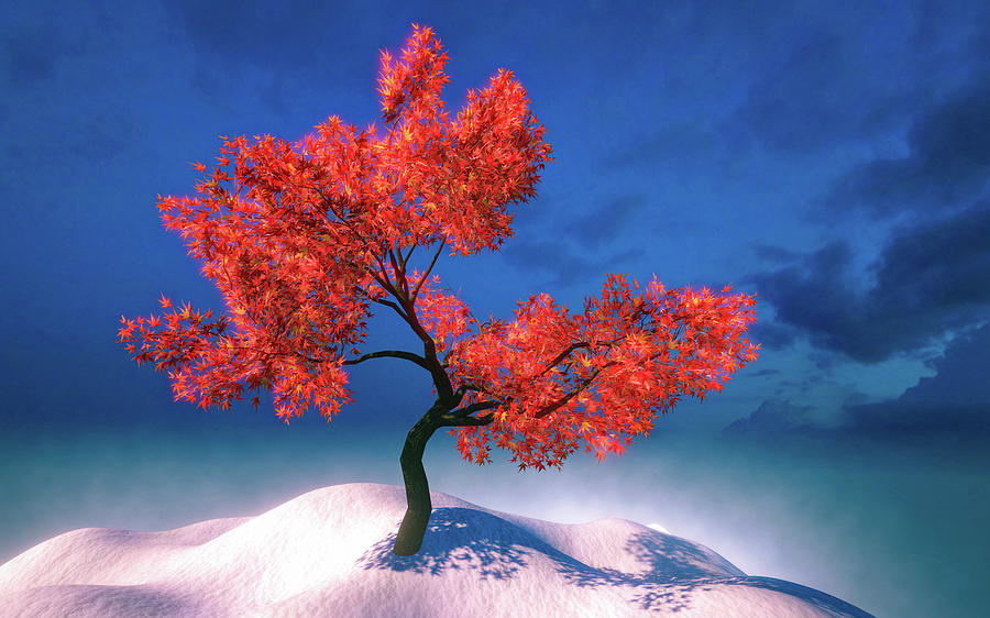 Red Tree and Blue Sky Digital Art by Matthias Hauser