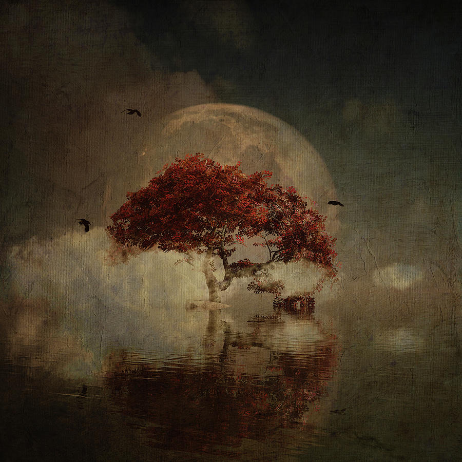 Red Tree in a dream Digital Art by Jan Keteleer