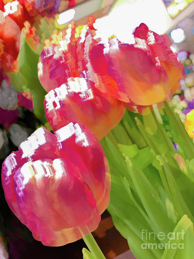 Red tulip flower pastel Photograph by Phillip Rubino