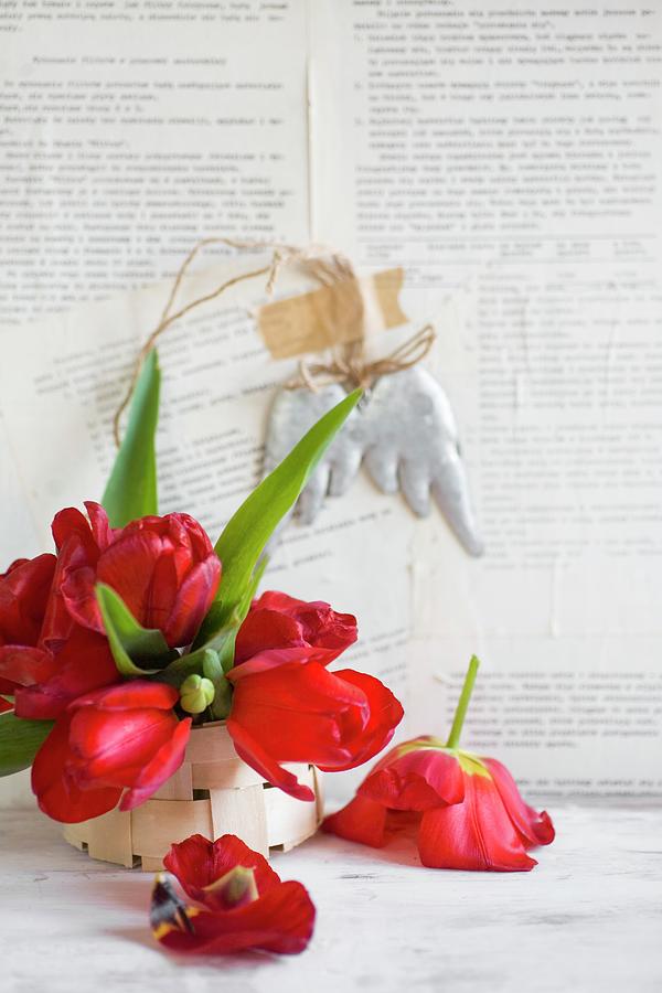 Red Tulips In Chip-wood Basket Against Wall Papered With Book Pages Photograph by Alicja Koll