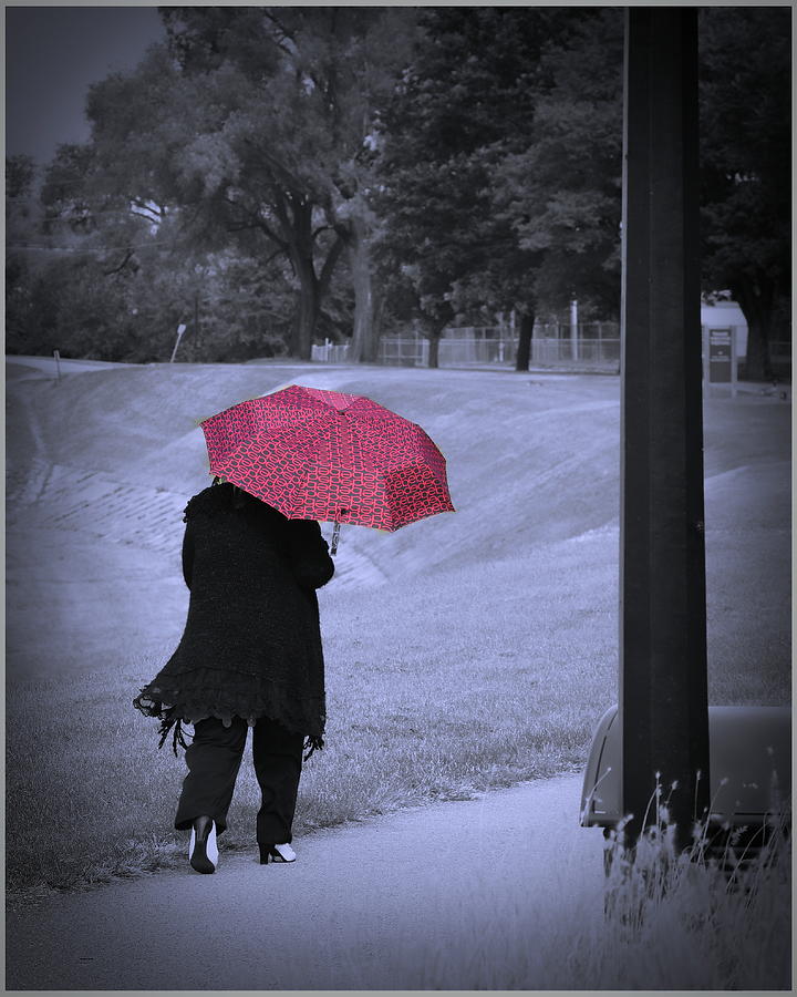 Red Umbrella Photograph by Jack Wilson
