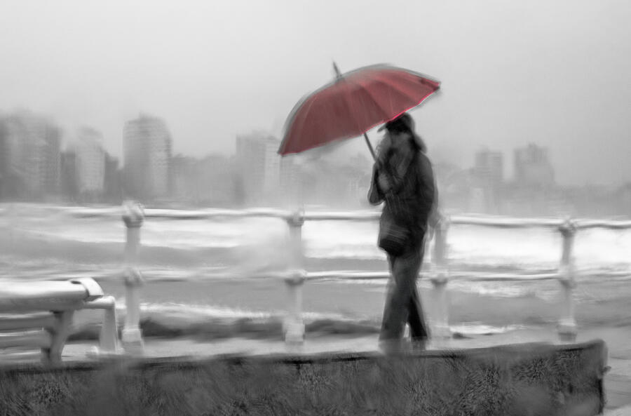 Red Umbrella Photograph by Ramn Medina