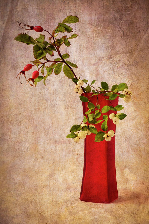 Red Vase with Wild Rosehips and Berries Photograph by Mary Lee Dereske