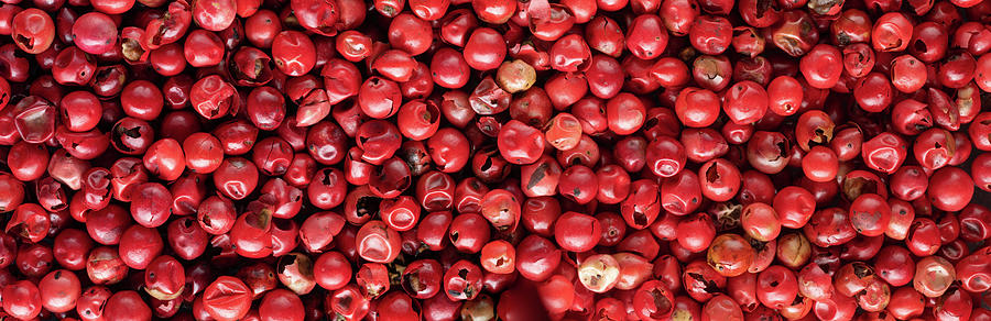 Red Whole Peppercorns Panorama Photograph