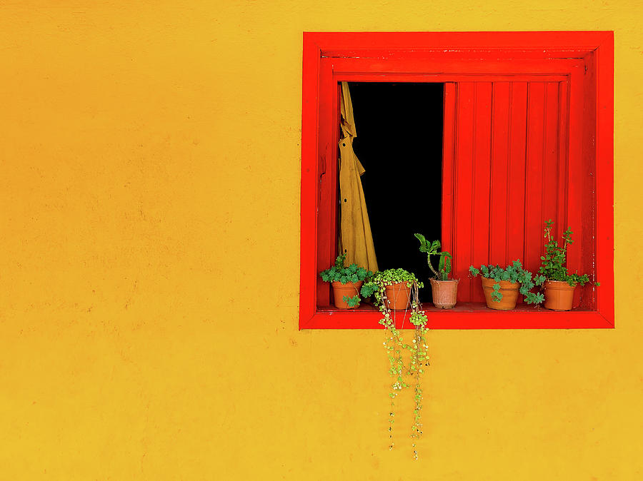 Red Window in Yellow Wall Photograph by Adam Reinhart