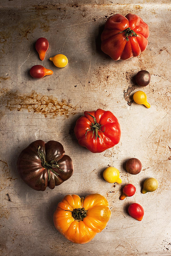 Red, Yellow, Purple Tomatoes On Gray Photograph by One Girl In The Kitchen