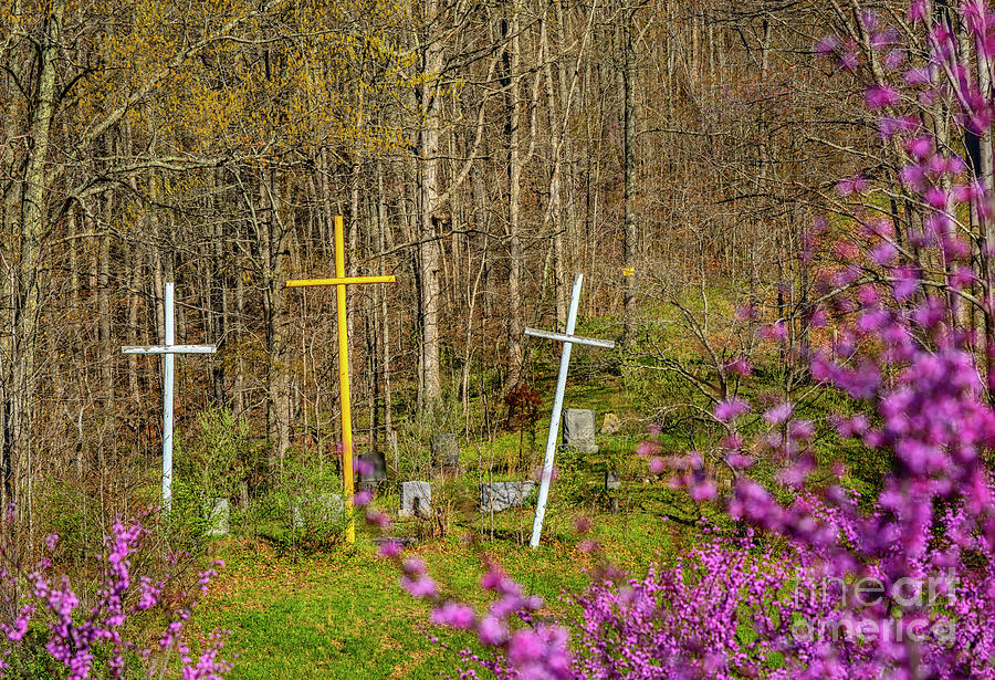 Redbud and Crosses  Photograph by Thomas R Fletcher
