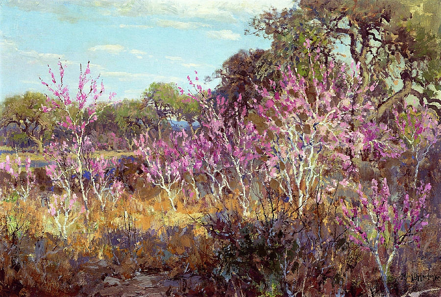 Redbud Tree in Bloom at Leon Springs, San Antonio, 1921 Painting by Julian Onderdonk
