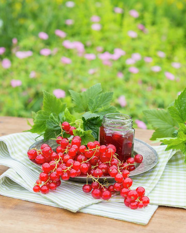 Redcurrants And A Jar Of Redcurrant Jam On A Garden Table Photograph by The Studio Collection