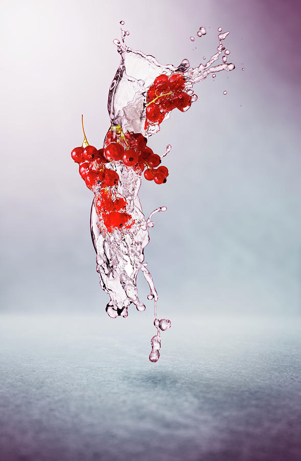 Redcurrants And Splash Of Water Photograph by Petr Gross