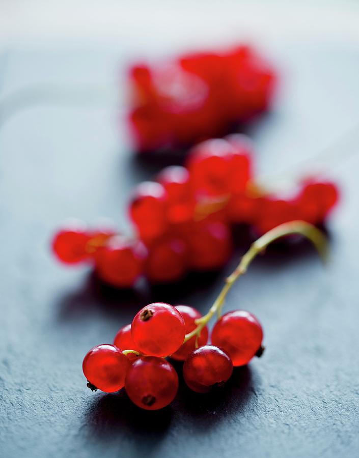 Redcurrants close-up Photograph by Dorota Indycka