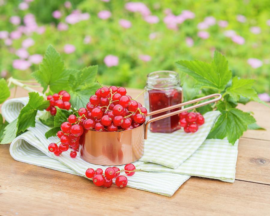 Redcurrants In A Copper Pan On A Garden Table Photograph by The Studio Collection