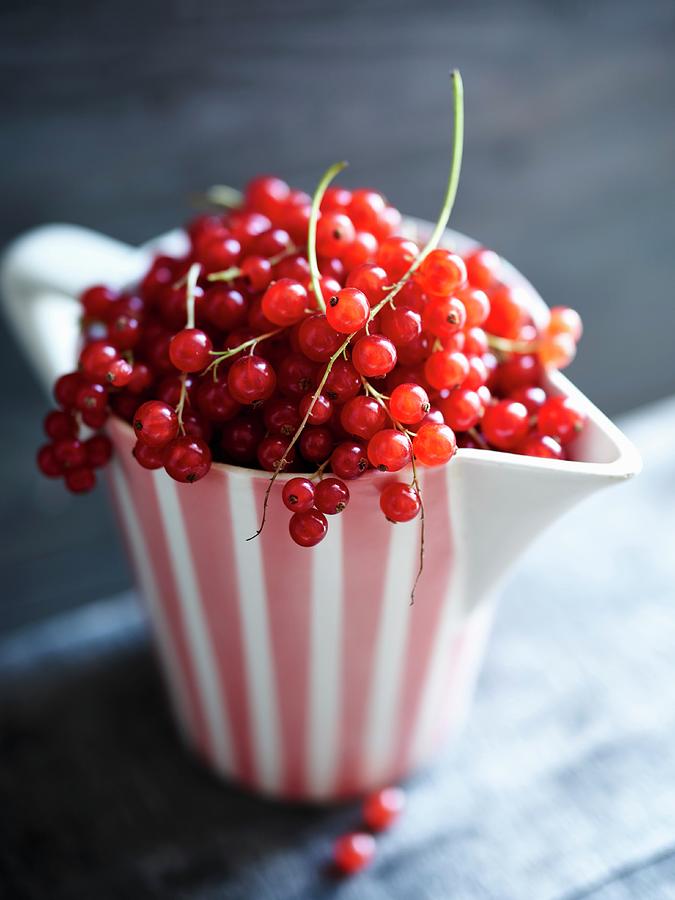 Redcurrants In A Striped Milk Jug Photograph by Oliver Brachat