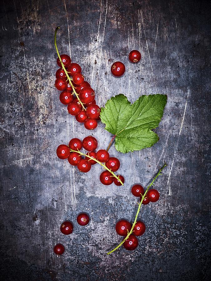 Redcurrants On A Grey Background seen From Above Photograph by Peter Rees