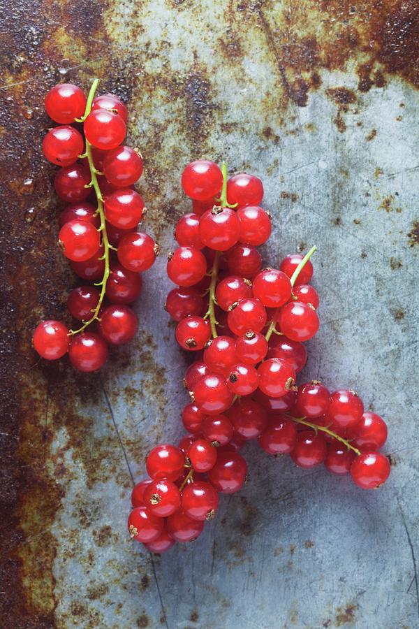 Redcurrants On A Metal Surface Photograph by Barbara Pheby