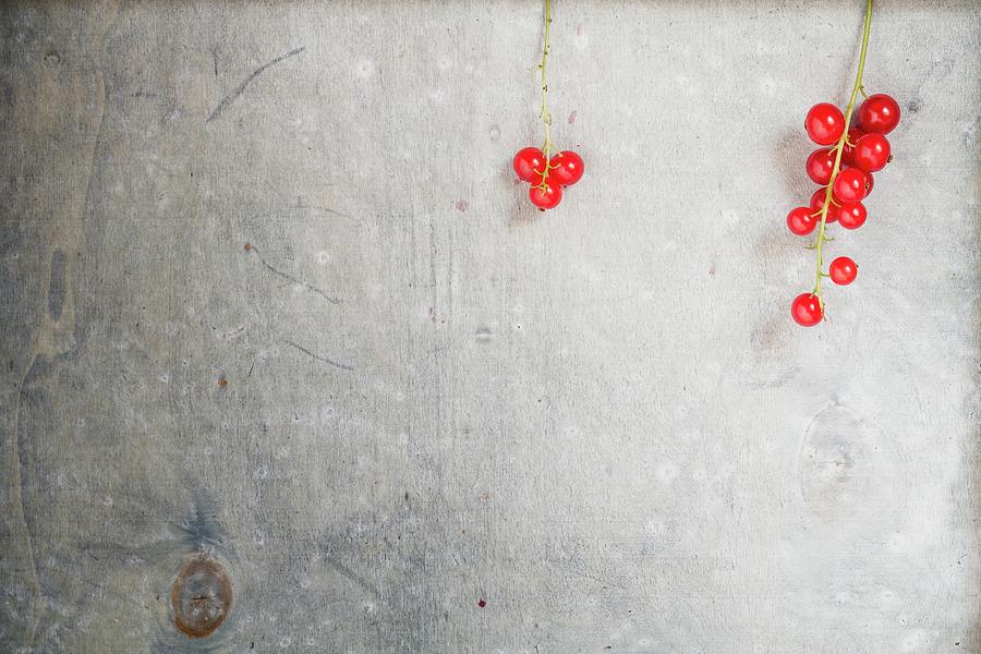 Redcurrants On White-glazed Wood Photograph by Susan Brooks-dammann