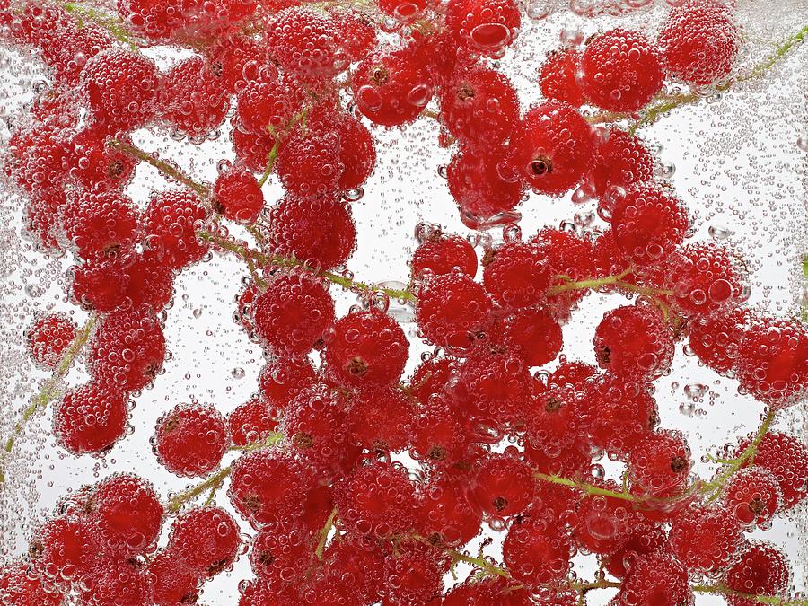 Redcurrants Underwater With Bubbles Photograph by Oliver Lippert