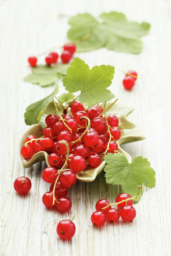 Redcurrants With Leaves In A Leaf-shaped Bowl Photograph by Petr Gross